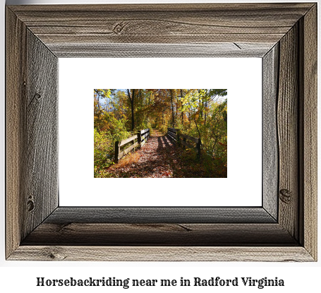 horseback riding near me in Radford, Virginia